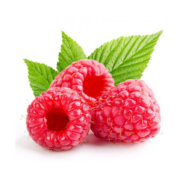 Fresas silvestres